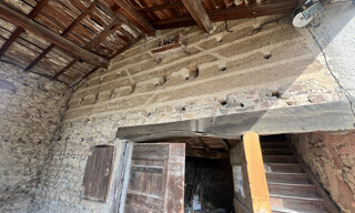 Photo N° 4