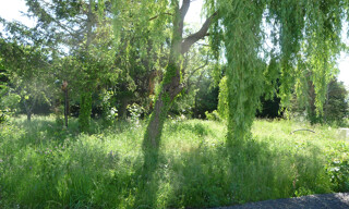 Photo N° 3