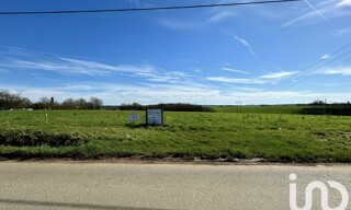 Photo N° 5