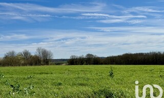 Photo N° 6