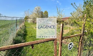 Photo N° 6