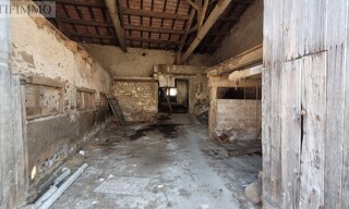 Photo N° 4