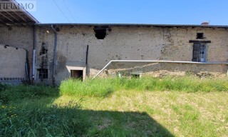 Photo N° 5