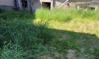 Photo N° 6
