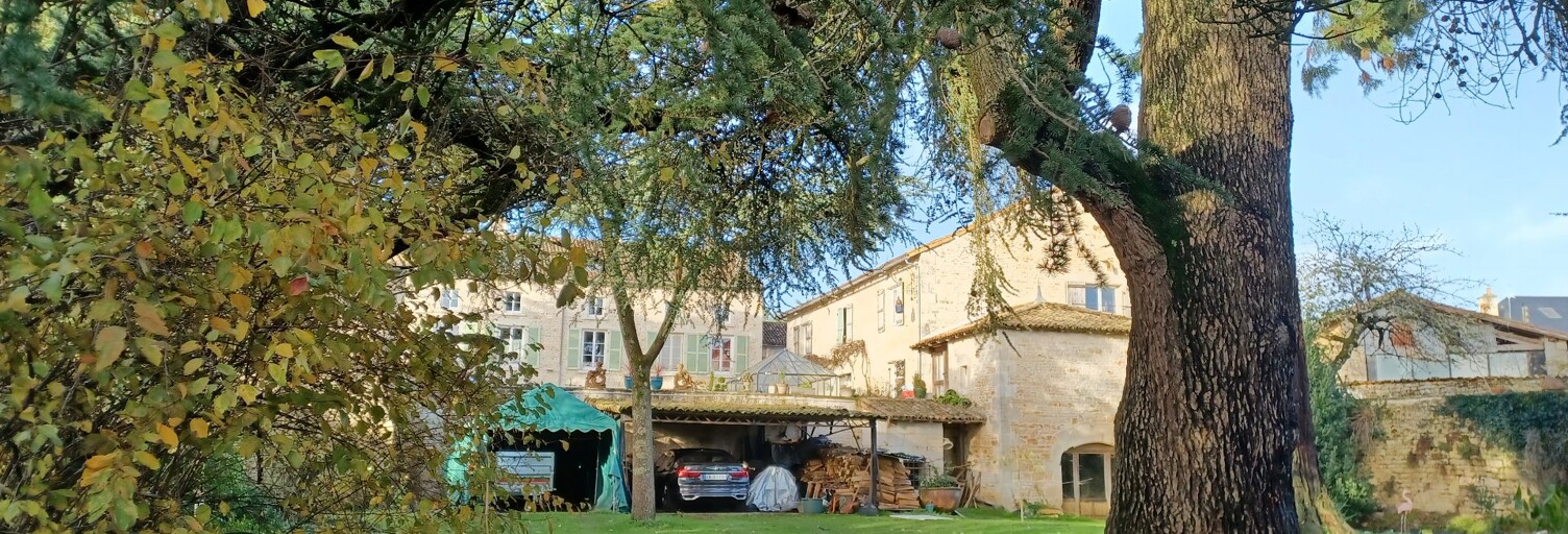 Maison 13 Pièces 635 m² à vendre à Valence-en-Poitou (86700)