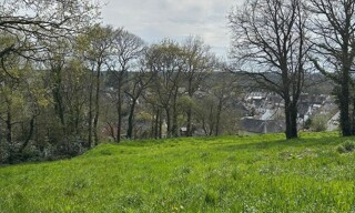 Terrain  905 m² à vendre à Guémené-sur-Scorff (56160)