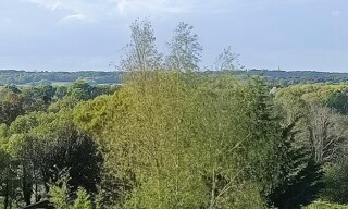 Photo N° 4
