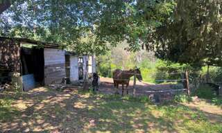 Maison 4 Pièces 116 m² à vendre à Solliès-Pont (83210)