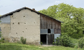 Photo N° 8
