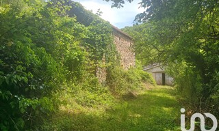 Photo N° 4
