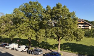 Appartement 2 Pièces 41 m² à louer à Annecy (74940)