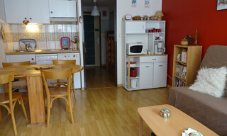 Appartement 1 Pièce 24 m² à vendre à Saint-Lary-Soulan (65170)