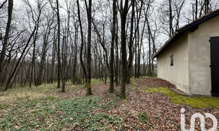 Photo N° 4