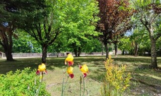 Photo N° 3