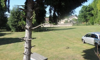 Photo N° 3