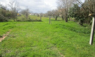 Photo N° 6