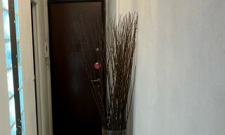 Photo N° 5