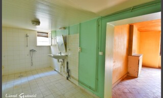 Photo N° 6