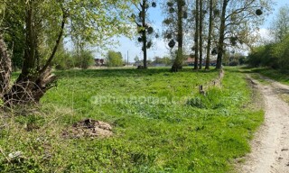 Photo N° 3