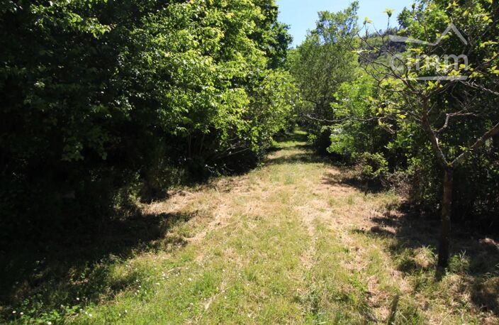 A vendre maison de plain pied dans un cadre de verdure — photo 3