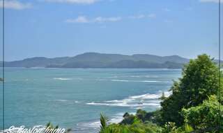 Maison 7 Pièces 322 m² à vendre à Sainte-Marie (97230)