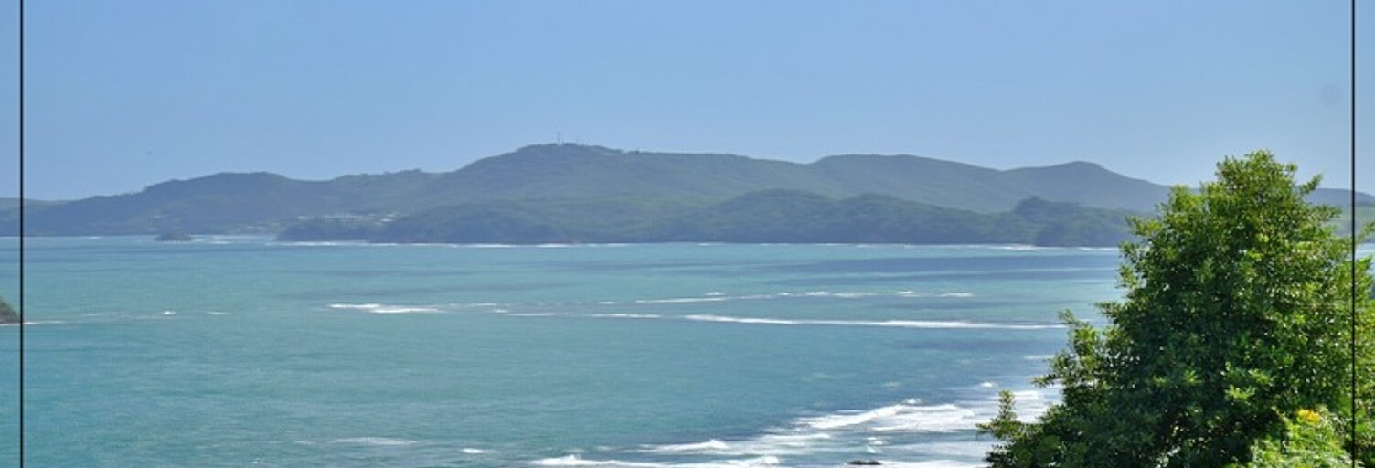 Maison 7 Pièces 322 m² à vendre à Sainte-Marie (97230)