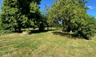Photo N° 4