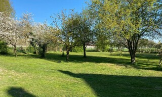 Photo N° 4