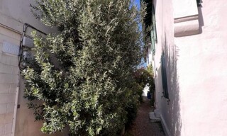 Photo N° 6