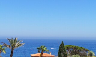 Photo N° 3
