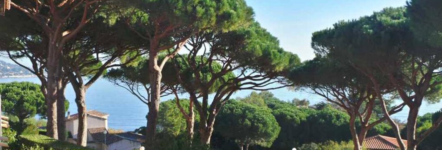 location vacances Appartement 2 Pièces 28 m² à Sainte-Maxime (83120)