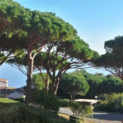 Appartement 2 pièces 450 €