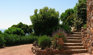 Photo N° 6
