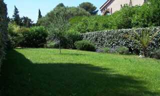 Photo N° 3