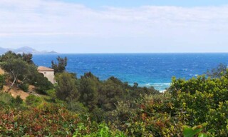 Photo N° 3