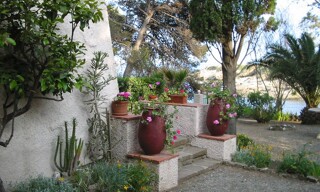 Photo N° 3