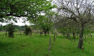 Photo N° 6