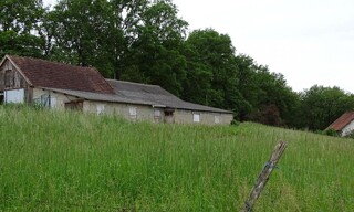 Photo N° 7