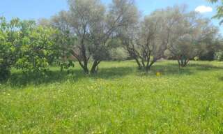 Terrain  817 m² à vendre à Paulhan (34230)