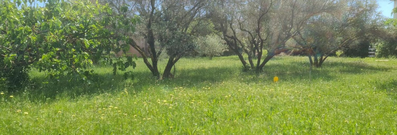 Terrain  817 m² à vendre à Paulhan (34230)