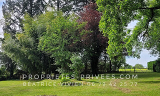 Photo N° 5