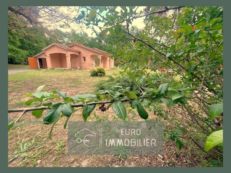 Proche Bazas- Maison contemporaine 2 chambres sur 8500m2 de — photo 1