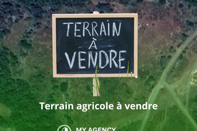 Terrain  11000 €