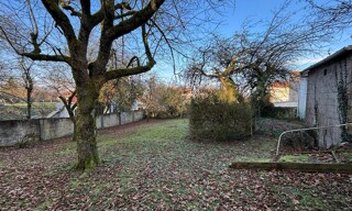 Photo N° 4