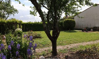Photo N° 4