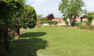 Photo N° 5