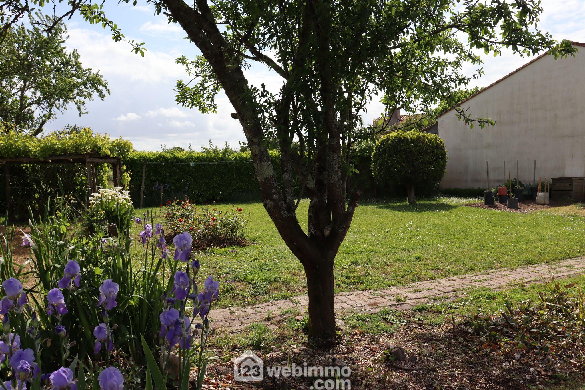 Photo Terrain à bâtir - 416m² - Saint-Vincent-sur-Jard image 3/4