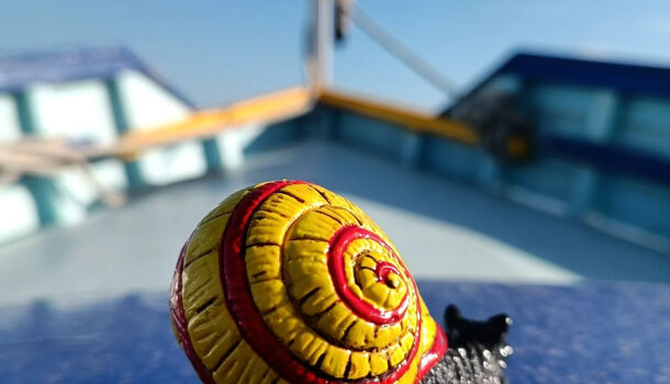 Appartement 2 pièces  à louer Barcarès (Le) 66420