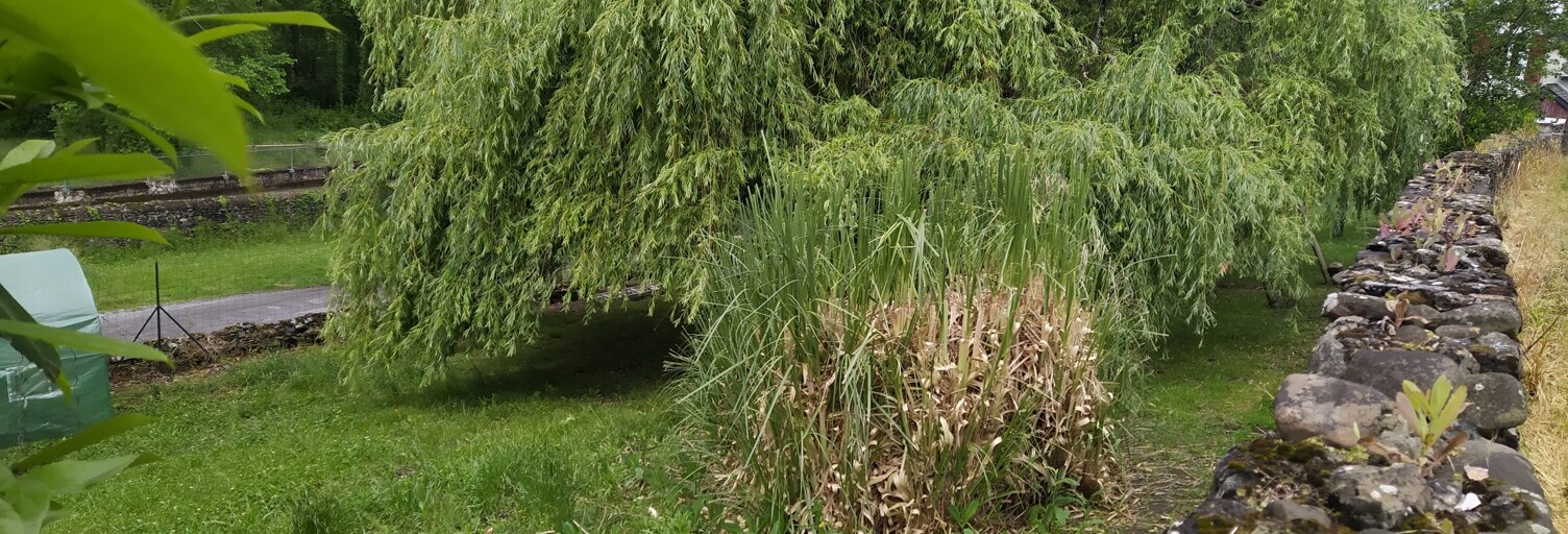 Maison 3 Pièces 66 m² à vendre à Oloron-Sainte-Marie (64400)