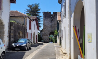 Photo N° 14